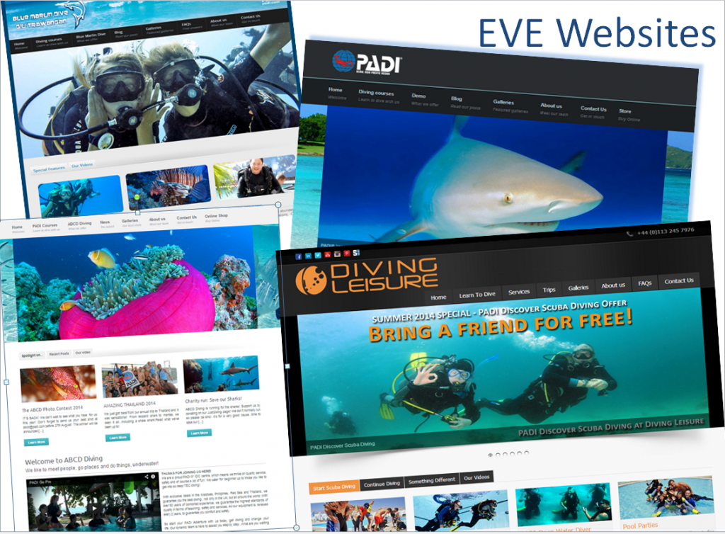 Introduction to EVE websites v1.1